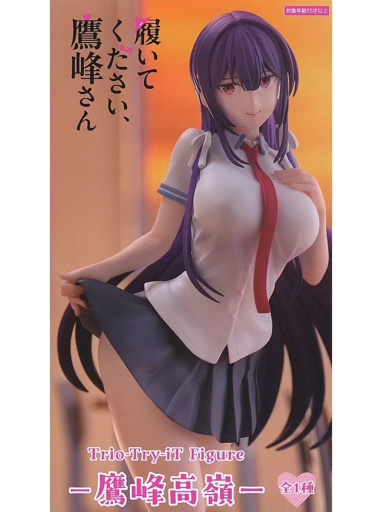 履いてください、鷹峰さん Trio-Try-iT Figure 鷹峰高嶺[フリュー]